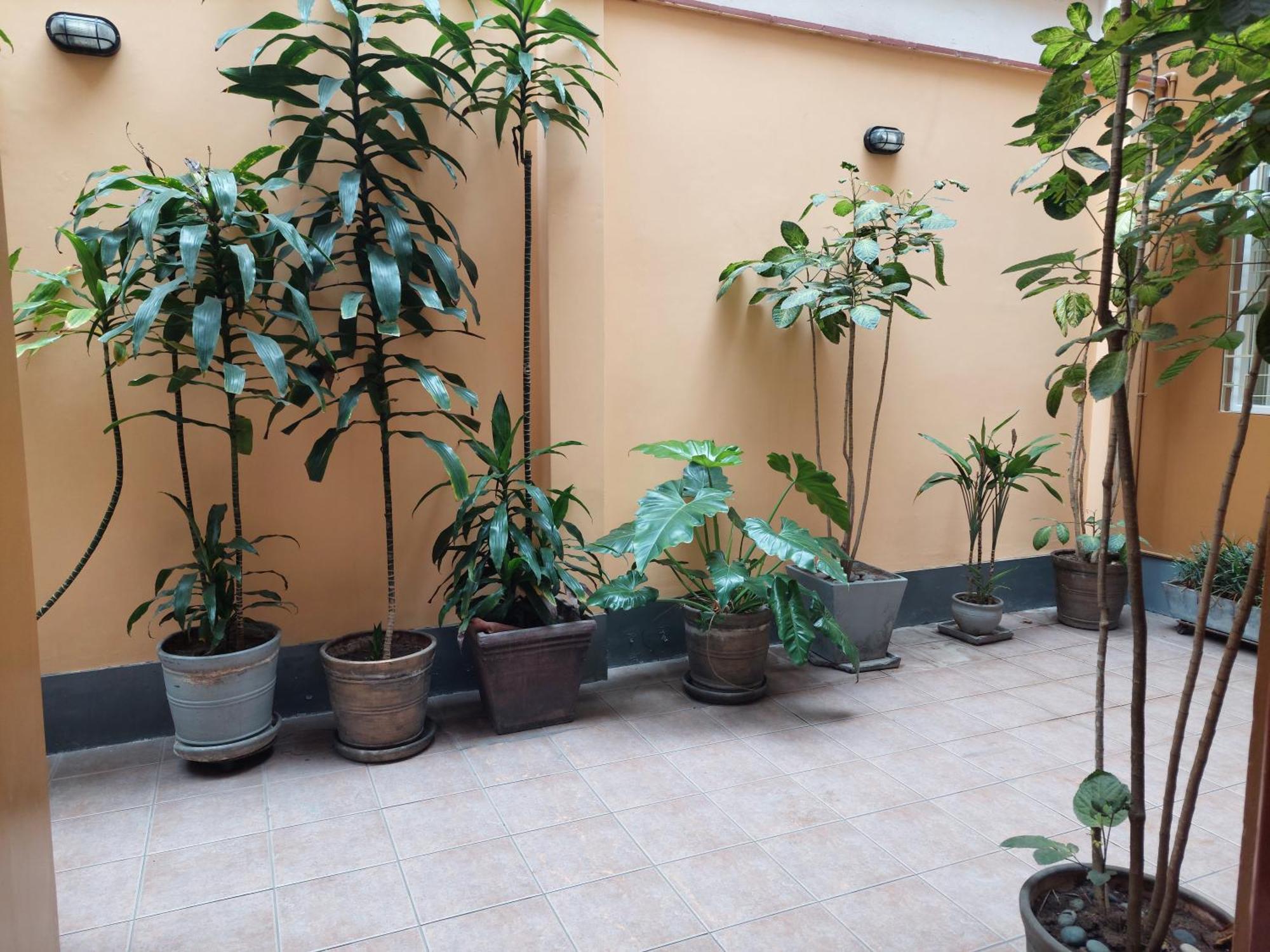 Lima Wasi Hotel Miraflores Ngoại thất bức ảnh